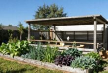 Horta orgânica cheia de vegetais frescos sob luz natural em um quintal bem cuidado