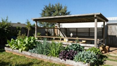 Horta orgânica cheia de vegetais frescos sob luz natural em um quintal bem cuidado