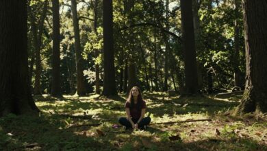 Uma pessoa sentada em uma clareira ensolarada na floresta, com raios de sol filtrando pelas árvores, transmitindo uma sensação de paz e bem-estar.