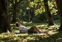 Uma pessoa relaxando em um refúgio natural sereno cercado por luz suave e natureza