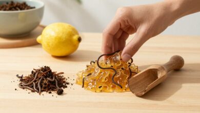 Composteira doméstica em ambiente claro, com folhas secas, restos de frutas, minhocas e composto orgânico sendo preparado para uma horta caseira